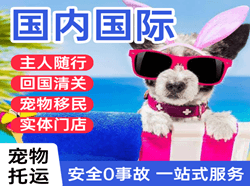 合肥新桥国际宠物托运 【国